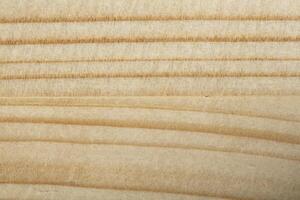 Texture of light wood with veins closeup. Wooden background photo