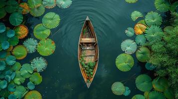 A high-definition aerial view of a wooden boat floating amidst green lily pads on a calm body of water, surrounded by lush vegetation. photo