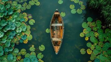 A high-definition aerial view of a wooden boat floating amidst green lily pads on a calm body of water, surrounded by lush vegetation. photo