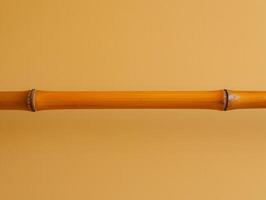 Single Bamboo Shoot on Yellow Background. photo