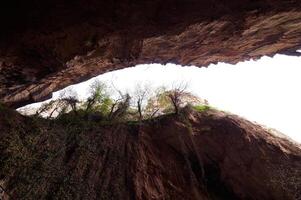 Scenic view from within a cave looking up at trees and the bright sky above photo