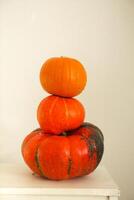 Three pumpkins on a light background photo
