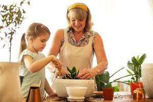 Little girl helping grandmother to care about houseplants while working together in home garden photo