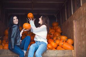 Fashionable beautiful young girlfriends together at the autumn pumpkin patch background. Having fun and posing photo