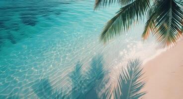 Tranquil Shoreline With Palm Trees and Crystal Clear Waters at Sunrise photo