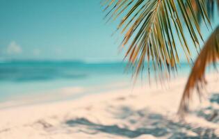 Palm Frond Over Tropical Beach photo