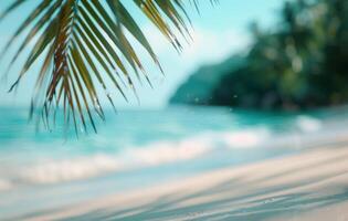 Palm Frond Over Tropical Beach photo