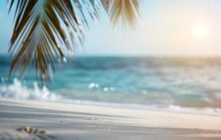 Palm Tree Overlooking Beach photo