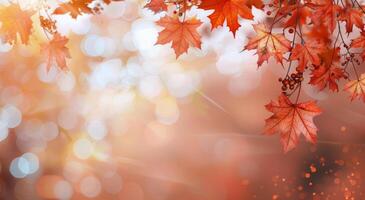 Autumn Maple Leaves With Bokeh photo