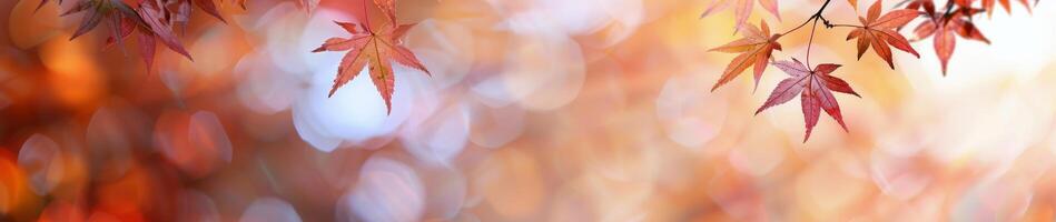 Autumn Leaves On A Table photo