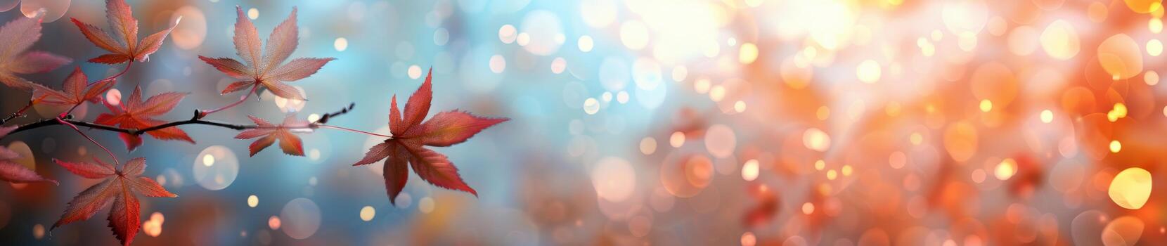 Autumn Leaves On A Table photo