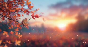 Autumn Leaves in Sunlight photo