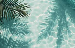 Palm Tree Shadow on Pool Water photo