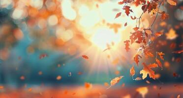 Autumn Leaves Falling in Sunlight photo