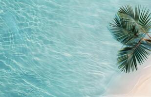 Palm Tree Shadow on Pool Water photo