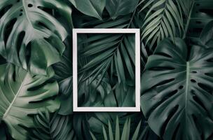 White Frame Surrounded by Tropical Leaves photo