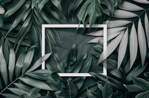White Frame Surrounded by Tropical Leaves photo
