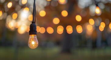 String Lights At Dusk photo