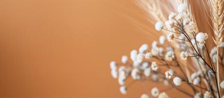 Dried Flower Arrangement in White Vase photo