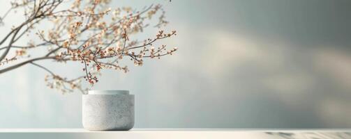 White Blossom Branch and Concrete Platform photo