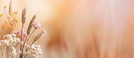 Dried Flower Arrangement in White Vase photo