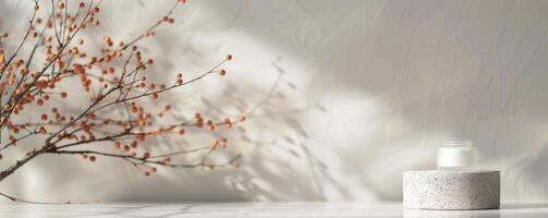 White Blossom Branch and Concrete Platform photo
