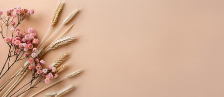 Dried Flowers and Wheat on Peach Background photo