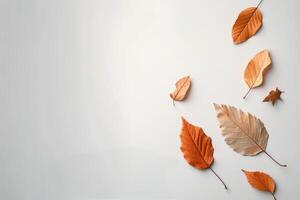 Two Dried Leaves on White Surface photo
