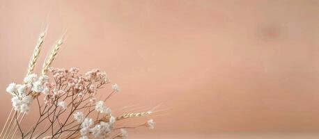 Dried Flowers and Wheat on Peach Background photo