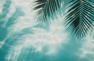 Palm Tree Over Pool Water photo