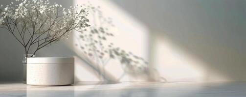 White Flowers and Sunlight on Table photo