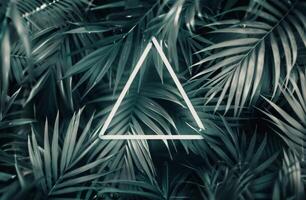 White Triangle Over Dark Green Foliage photo