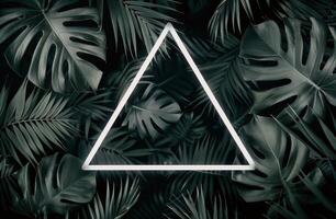 White Triangle Over Dark Green Foliage photo