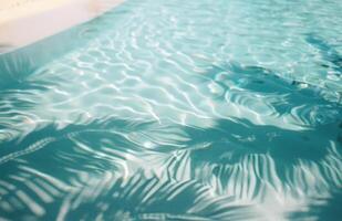 Palm Tree Shadow on Pool Water photo