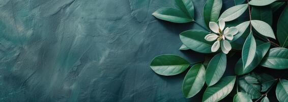 Green Leaves on a Branch photo