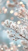 Frosted Branch With Bokeh Lights photo