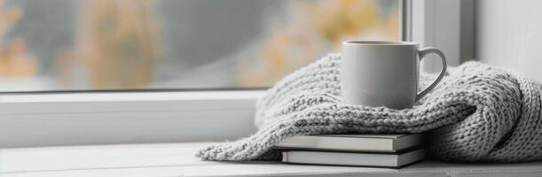 Cozy Windowside Books and Blanket photo