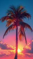 Sunset Over a Body of Water photo