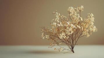 Small Vase With White Flowers photo