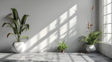 Floor with plants and window shadow photo
