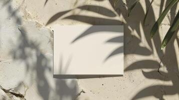 Mockup of a white sheet of paper on the background of a concrete wall with a shadow of palm leaves. photo