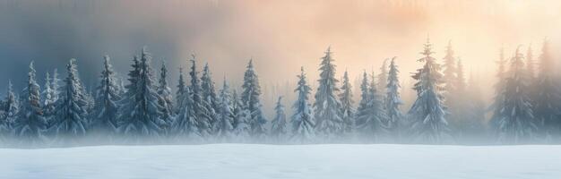 Snowy Forest Scene At Sunrise photo
