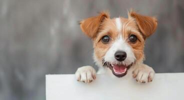 Smiling Dog Peeking Over White Surface photo