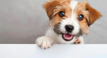 Smiling Dog Peeking Over White Surface photo