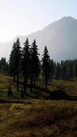Landscape view of the mountain range with trees in the fall video
