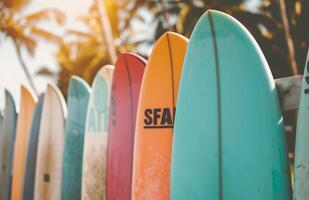 Colorful Surfboards Leaning Against Fence photo