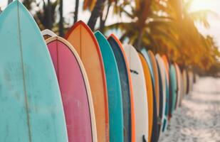 Colorful Surfboards Leaning Against Fence photo