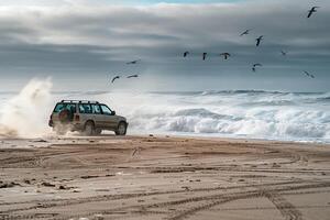 Freedom Crossover SUV driving on sandy beach with waves crashing in the background and seagulls flying overhead background photo