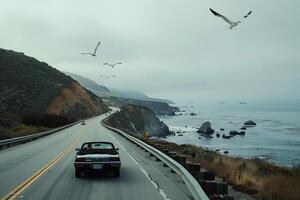 Freedom Convertible driving along scenic coastal road with cliffs overlooking the ocean and seagulls flying overhead background photo