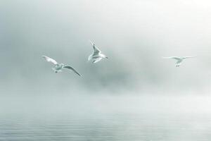 Abstract Arctic terns soaring through an ethereal mist over fjord. with misty fjord background. photo